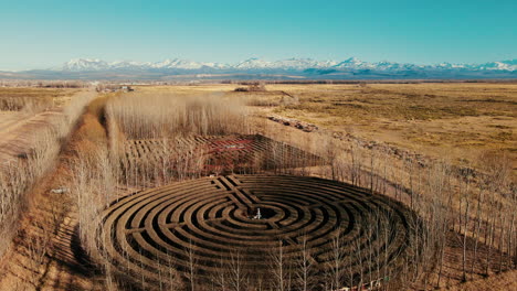 Magnificent-mazes-in-Malargüe,-Mendoza,-with-the-Andes-as-a-stunning-backdrop