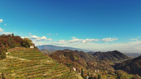 Luftlandschaftsansicht-über-Italienische-Prosecco-Hügel,-Weinbergreihen,-Mit-Bergen-Im-Hintergrund
