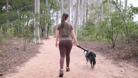 Woman-walking-her-Australian-shepherd-dog-in-the-park,-rear-view