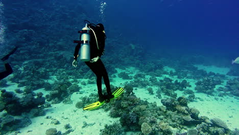 A-diver-near-the-seabed-in-the-clear-waters-of-the-Gulf-of-Aqaba-in-Dahab,-Egypt