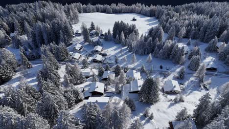Brambrüesch,-Switzerland,-aerial-shot-flying-forward-over-snow-covered-homes-and-forest