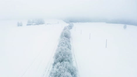Aerial-moody-and-foggy-view-over-ditch-trench-with-bushy-tree,-winter-landscape