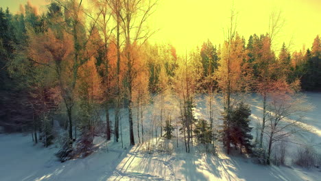 Winter-forest,-sauna-and-bright-sunset-light,-aerial-fly-backward-view
