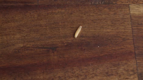 A-Moth-Larva-Wriggling-on-the-Surface-of-a-Wooden-Floor---Static-Shot