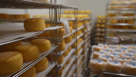 Cheeses-maturing-before-labeling-them-in-a-cold-chamber-of-cheese-factory