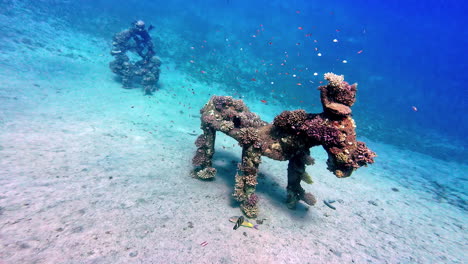 Völlig-Mit-Korallen-Bewachsene-Statuen-Im-Meereswasser-In-Der-Nähe-Von-Dahab-In-Ägypten
