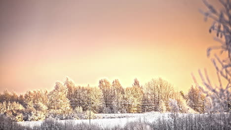 Glow-of-sunset-or-sunrise-over-white-winter-forest,-time-lapse