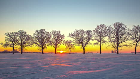 Tree-line-silhouette-and-bright-sunrise-in-background,-time-lapse-view