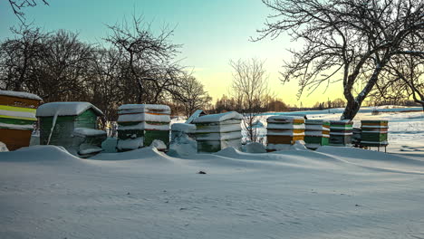 Beehives-covered-in-snow-on-sunny-winter-day,-time-lapse-view