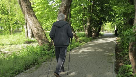 Active-senior-old-man-training-Nordic-walking-with-ski-trekking-poles-in-park