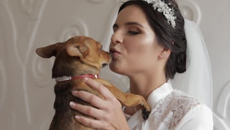 Beautiful-and-lovely-bride-in-night-gown-and-veil-with-funny-dog.-Wedding