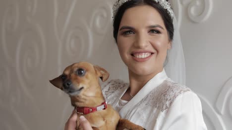 Beautiful-and-lovely-bride-in-night-gown-and-veil-with-funny-dog.-Wedding