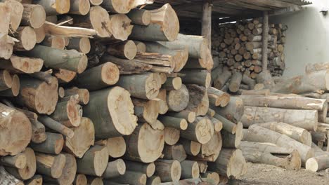 Timber-logging.-Freshly-cut-tree-wooden-logs-piled-up.-Wood-storage-for-industry
