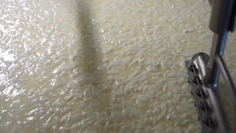 Slicers-separating-whey-from-milk-in-cheese-factory-process