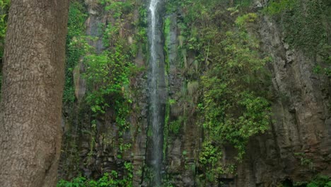 Cascada-De-La-Selva-En-Madeira-Portugall,-En-Lo-Profundo-Del-Bosque-Verde