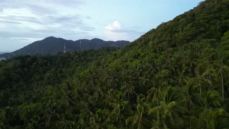 Aerial-view-on-tropical-palm-tree-rain-forest-in-Koh-Tao,-Thailand