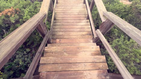 Walking-down-the-wooden-promenade-stairways-pathway-surrounded-by-lush-greenery-and-vegetation,-daytime-outdoor-capture,-recreation-and-free-time-activities-concept