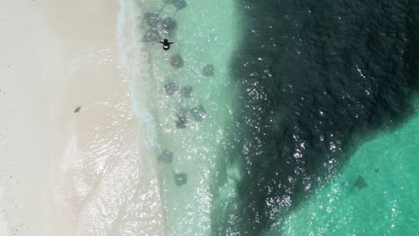 Mädchen-Erleben-Die-Schönheit-Des-Meereslebens-Der-Malediven-Inmitten-Von-Stachelrochen-Und-Fischen