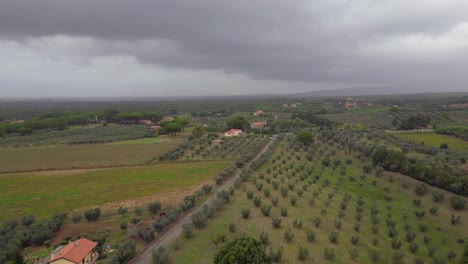 Bewölkter-Himmel-über-Olivenhain,-Toskana,-Italien