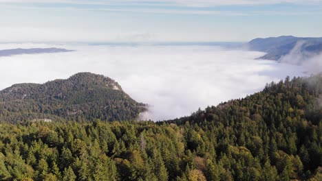 Beautiful-view,-Skyline-of-fog-covering-mountainous-region,-forest-foreground