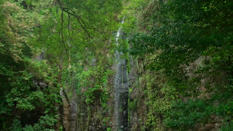 Dschungelwasserfall-Auf-Madeira,-Portugal,-Tief-Im-Grünen-Wald
