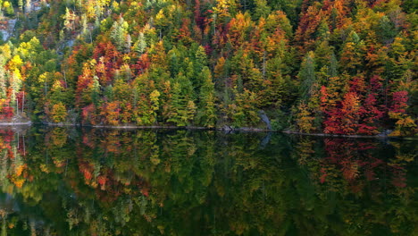 Farben-Der-Herbstlichen-Waldlandschaft-In-Der-Nähe-Des-Sees