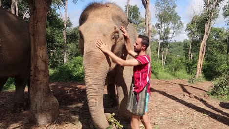 Young-volunteer-at-Sanctuary-smiling-happy-while-petting-and-caressing-elephant