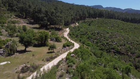 Antena-Siguiendo-Un-Pequeño-Camino-De-Grava-A-Través-De-Un-Bosque-Verde-En-El-Sur-De-Turquía