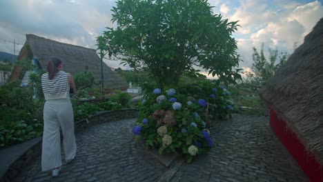 Footgae-Einer-Hortensienpflanze,-Aufgenommen-Auf-Madeira,-Portugal,-In-Einem-Traditionellen-Dorf-Mit-A-förmigen-Häusern-In-Santana,-Gefilmt-Mit-Filmischer-Bewegung
