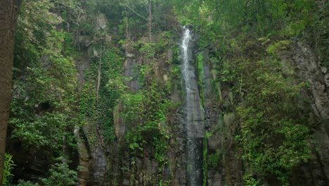 Dschungelwasserfall-Auf-Madeira,-Portugal,-Tief-Im-Grünen-Wald