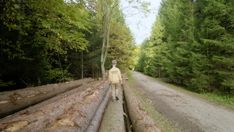 Follow-a-boy's-poignant-journey-through-a-forest-marked-by-cut-down-trees