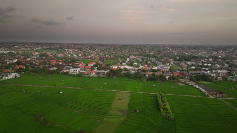 Pueblo-Costero-De-Canggu-Al-Borde-De-Vastos-Campos-De-Arroz-Verdes-De-Bali