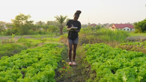 Joven-Agricultora-Recopilando-Datos-En-Un-Cuaderno-En-Una-Plantación-Agrícola-En-África