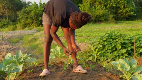 Schwarze-Junge-Bäuerin,-Die-Auf-Landplantagen-In-Afrika-Arbeitet,-Konzept-Der-Nahrungsmittelkrise-Und-Inflation-In-Armen-Ländern