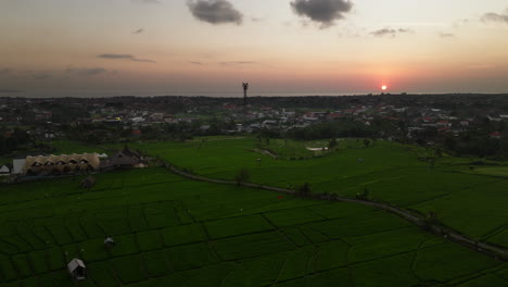 Sunset-aerial-view-over-rice-paddies-and-Canggu-resort-village,-Bali