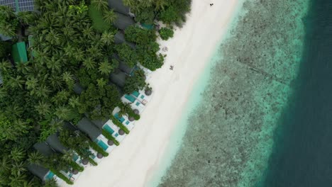 Tropical-Island-Paradise---Malahini-Kuda-Bandos,-Maldives:-Aerial-drone-lush-vegetation-and-Beach-Pool-Villa-fly-past-on-beach