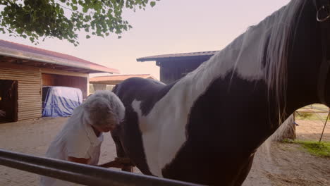 Discover-the-tender-moments-of-an-elderly-woman-caring-for-her-horse-in-the-quiet-yard