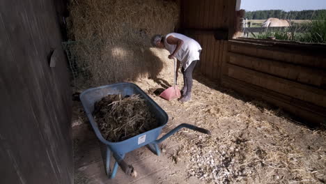 Step-into-the-rhythm-of-rural-life-as-an-elderly-woman-expertly-tends-to-the-farm,-picking-up-horse-dung-with-a-spade-and-placing-it-in-a-wheelbarrow