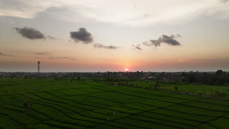 Terrassenförmige-Reisfelder-Bei-Sonnenuntergang-In-Der-Nähe-Des-Küstendorfes-Canggu-Auf-Bali