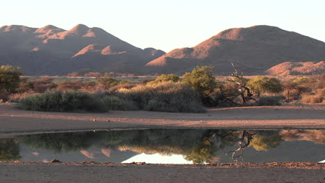 Hermosa-Vista-De-Un-Paisaje-Del-Sur-Del-Kalahari-Con-Un-Pozo-De-Agua