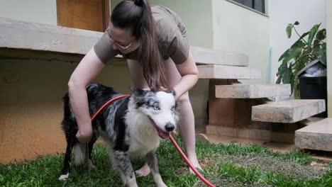 Young-woman-enjoys-while-hosing-down-australian-shepherd-dog