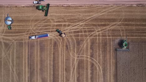 Straight-down-aerial-view-of-a-harvester-truck-and-tractor-all-working-hard-in-a-wheat-paddock