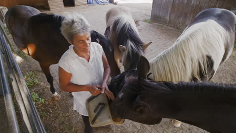 Step-into-a-serene-moment-as-an-elderly-woman-lovingly-feeds-her-horse-in-the-quiet-yard