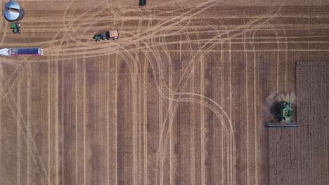 Overhead-of-wheat-harvester-working-and-other-harvesting-equipment-moving-around-a-paddock