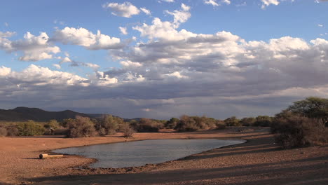 A-small-rare-waterhole-in-the-arid,-dry-kalahari-bush-landscape