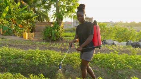 black-female-farmer-Spray-Fumigation-for-Weed-Control-Toxic-Pesticides-and-Insecticides-on-Plantations