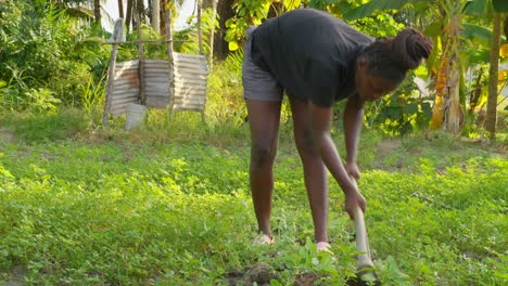 female-black-african-farmer-woman-shaping-the-soil-of-plantation-in-africa-working-with-hoe
