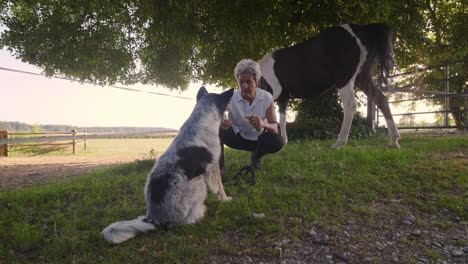 Experience-heartwarming-moments-as-an-elderly-woman-shares-snacks-with-her-dog,-while-her-horse-stands-in-the-background