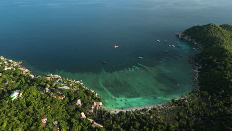 Aerial-top-down-shot-of-beautiful-shark-bay-in-Koh-tao-with-clear-coral-reef-water-in-Thailand