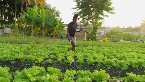 Agritech-Moderne-Präzisionslandwirtschaft-In-Afrika,-Schwarze-Frau-Sammelt-Daten-Auf-Dem-Notebook-Einer-Farmplantage-In-Afrika